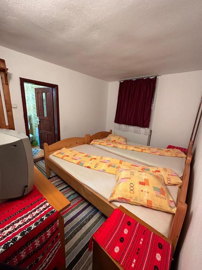 Casa Alex Villa Arieşeni Eksteriør billede